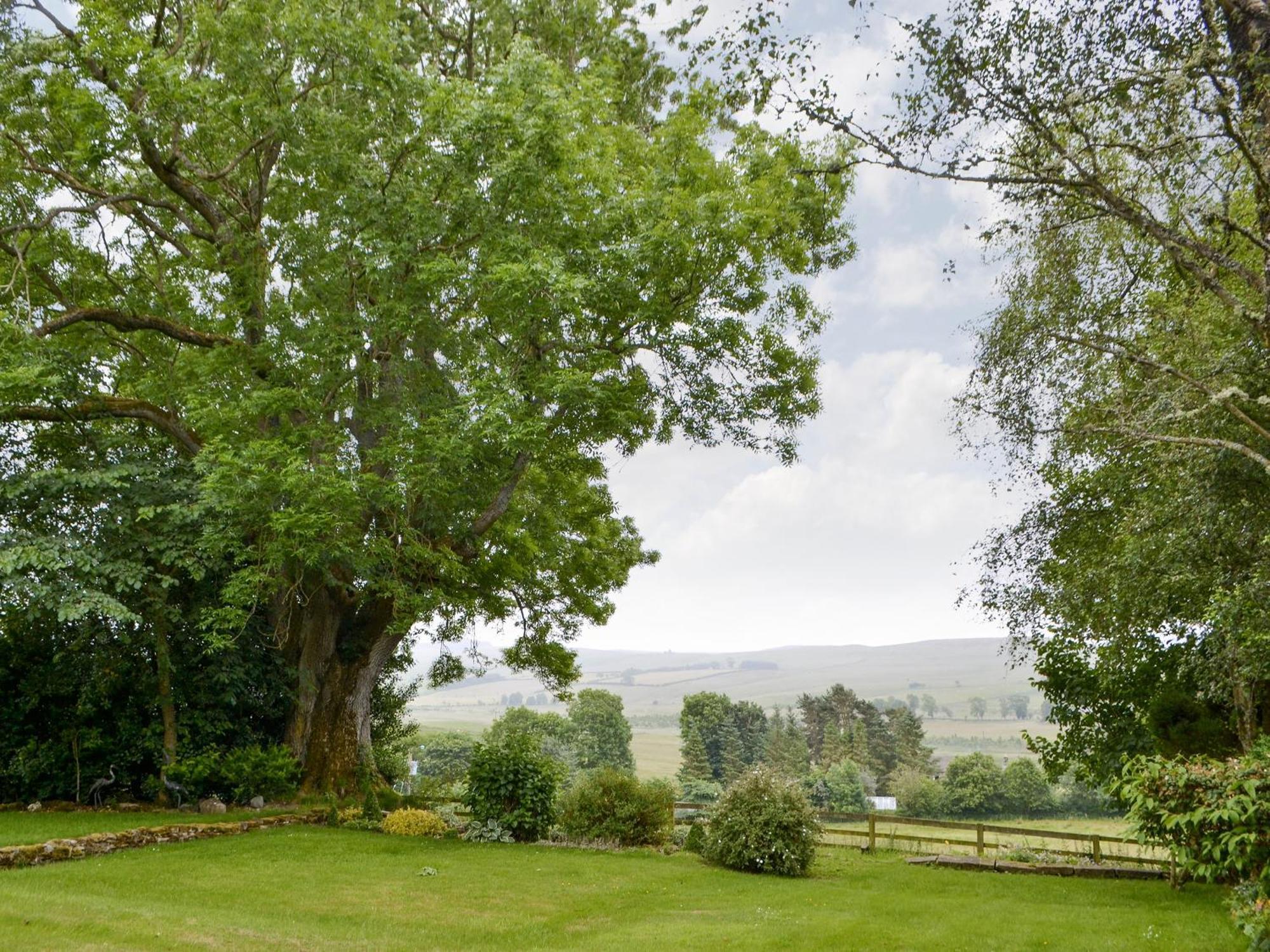 Broomstick Cottage Elsdon Dış mekan fotoğraf